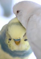/album/fotogalerij-/img-4761-jpg/