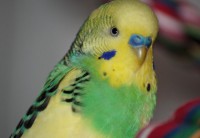 /album/fotogalerij-/img-8019-jpg/