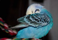 /album/fotogalerij-/img-8252-jpg/